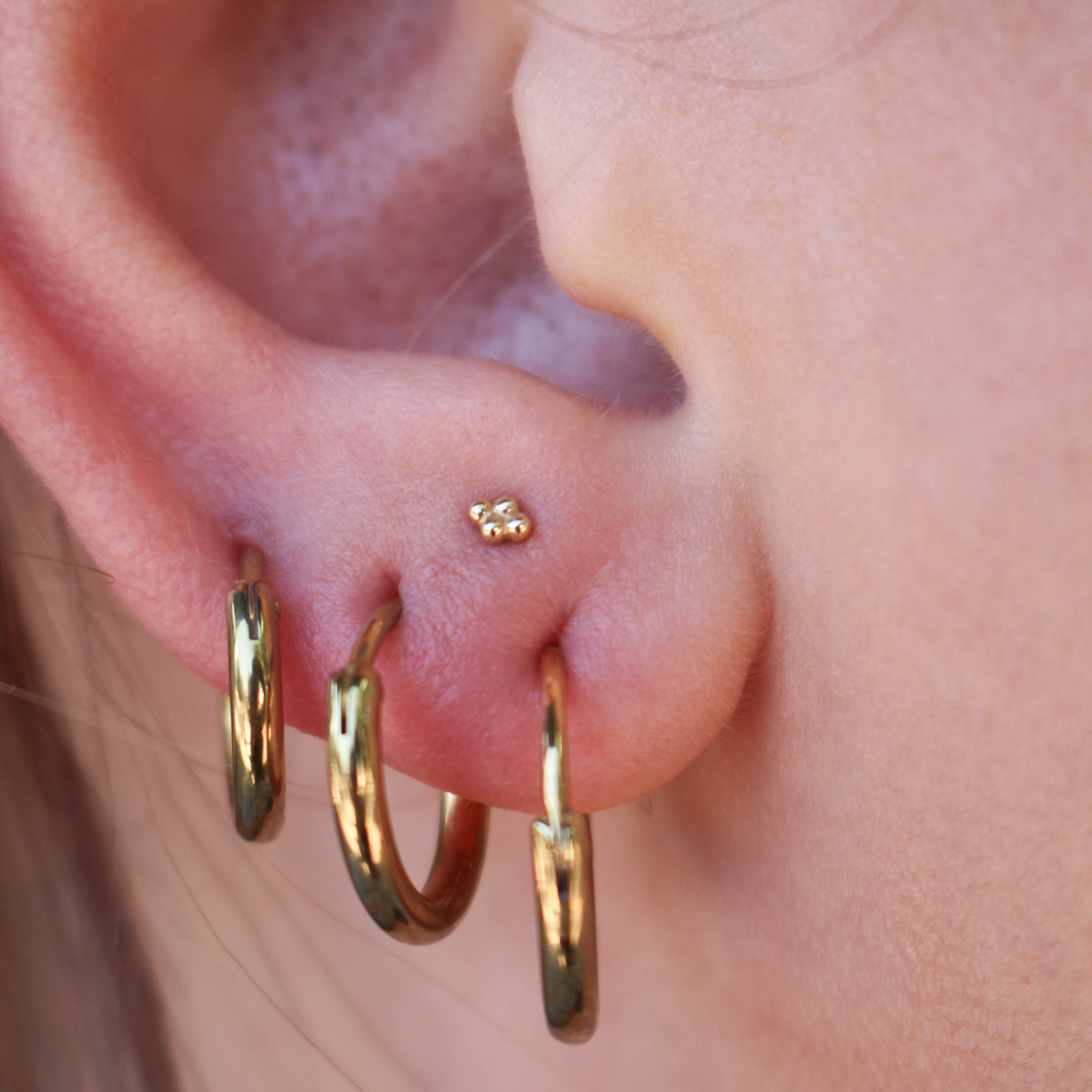 The yellow gold standard 4 bead cluster in a stacked earlobe piercing. The client is wearing three hoops in three standard earlobe piercings. The 4 bead cluster is placed between the 1st two lobe piercings a little higher up on the earlobe.