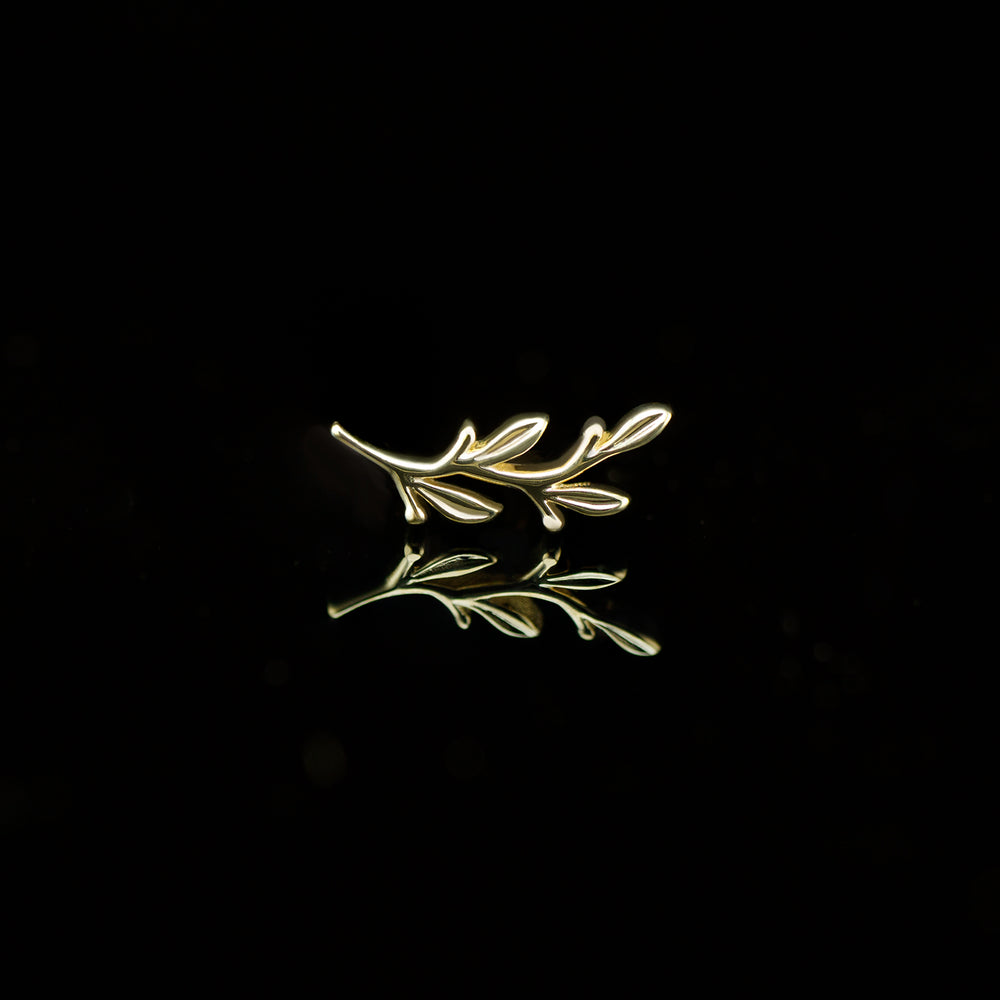 A yellow gold, olive branch shaped piece of body jewelry orientated to follow the curve of your left ear. Set on a black background.