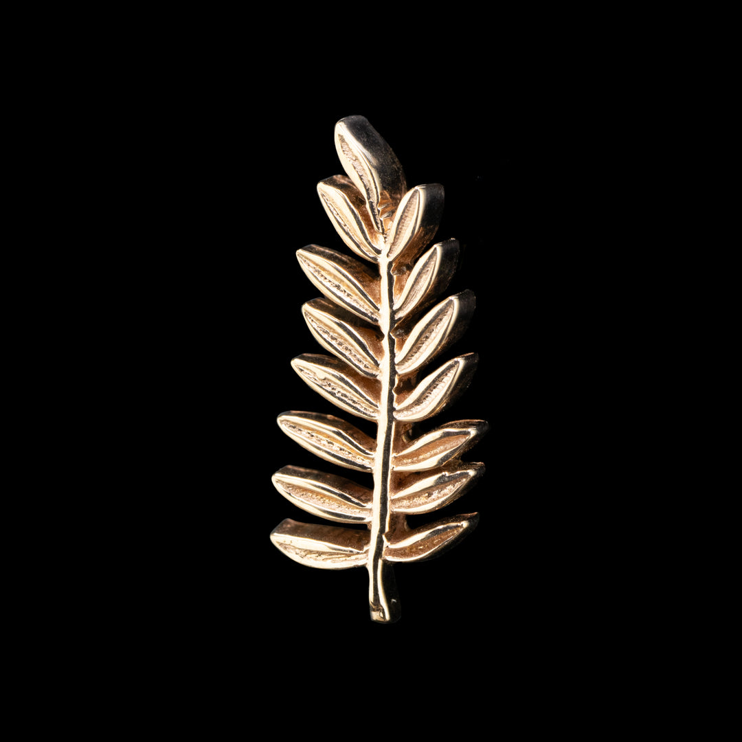 Threaded Fern