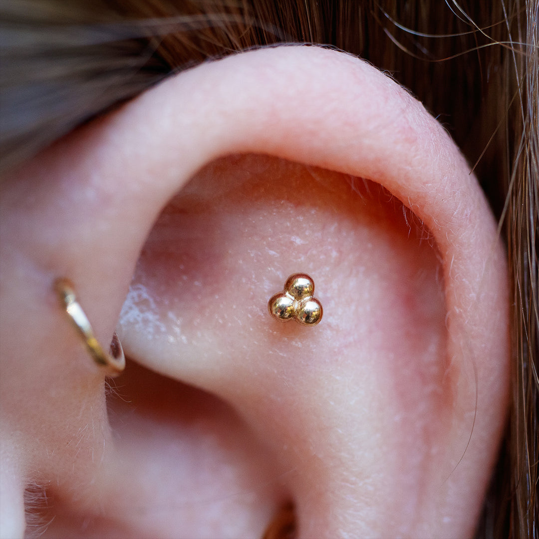 Close-up of the upper half of an ear pictured with the standard 3 bead cluster in yellow gold.