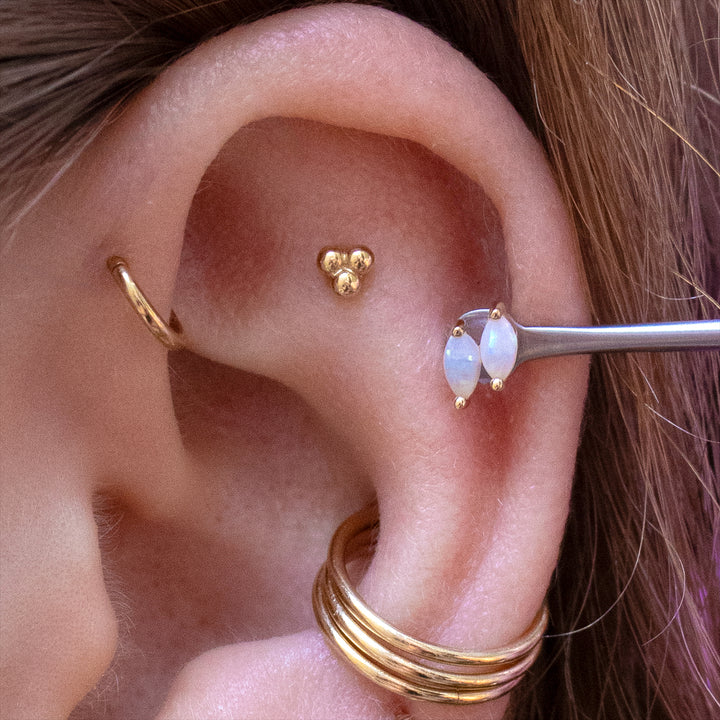 Close-up of the upper half of an ear with multiple piercings showing off yellow gold jewelry. Including the double zuri with white opal, 3 bead cluster, and 18 gauge seam rings. The double zuri is pictured in a helix placement. 