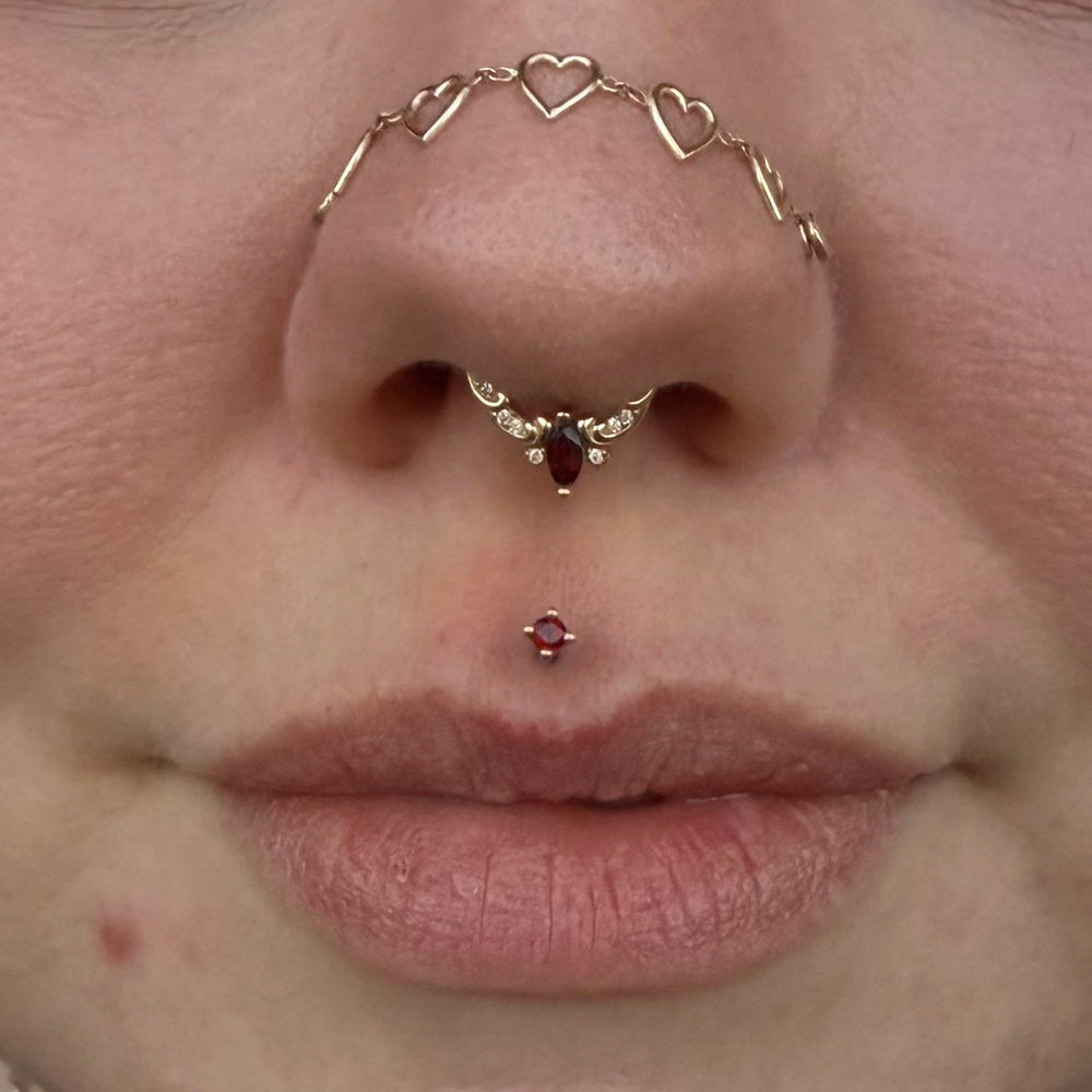 A close up of a face with several piercings. Our client is wearing a Garnet Prong end from Buddha jewelry in their Medusa piercing.