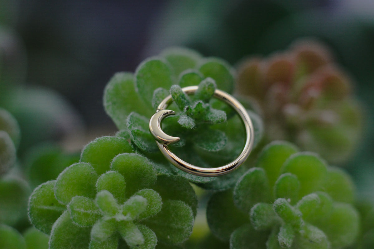 Deep Roots | Seattle | U District | Best Studio Ever™