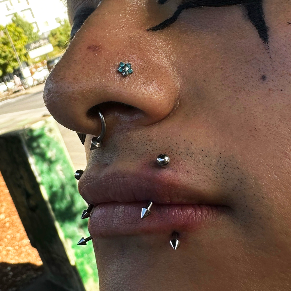 Close up of a face with several piercings including, nostril, septum, vertical labret, and labret piercings. 
This client is wearing spikes on a circular barbell in their septum and on their lip piercings and a mint flower threadless end in their nostril.
