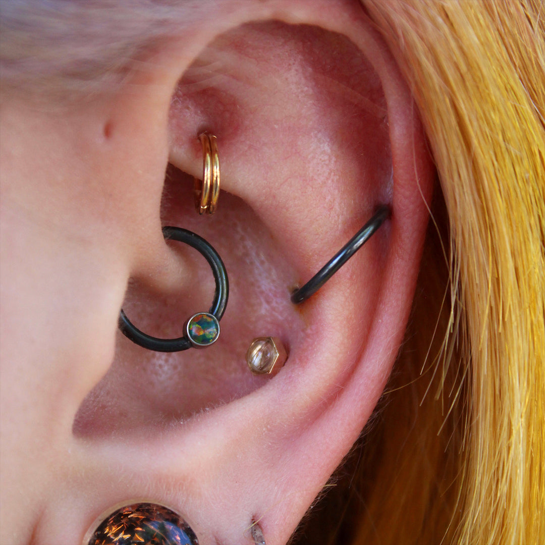 Close up of an ear with multiple piercings. The client is wearing black niobium rings in their daith and in a unique orbital between their helix and conch.